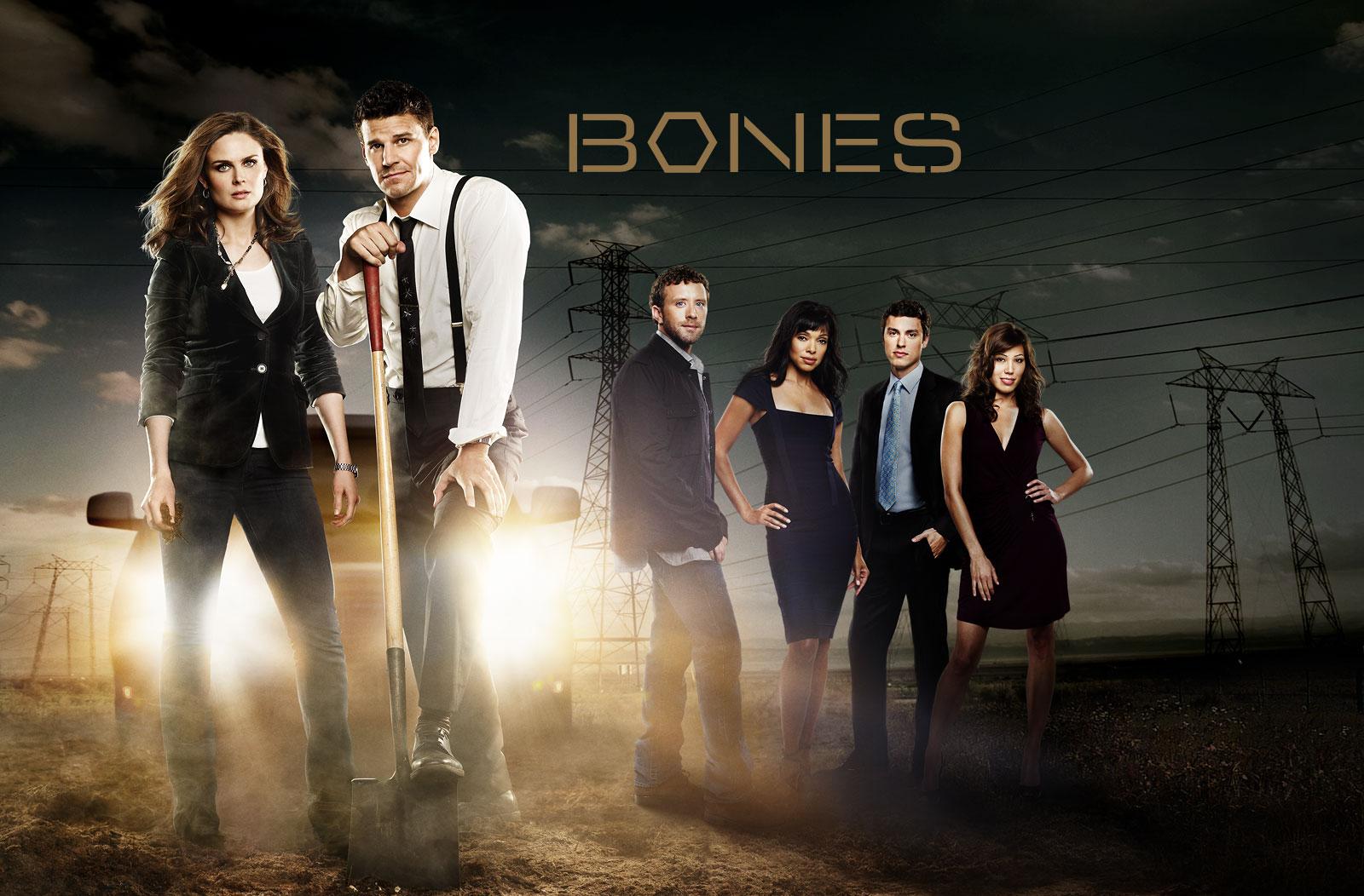 David Boreanaz y Emily Deschanel protagonizan la serie forense 'Bones'.