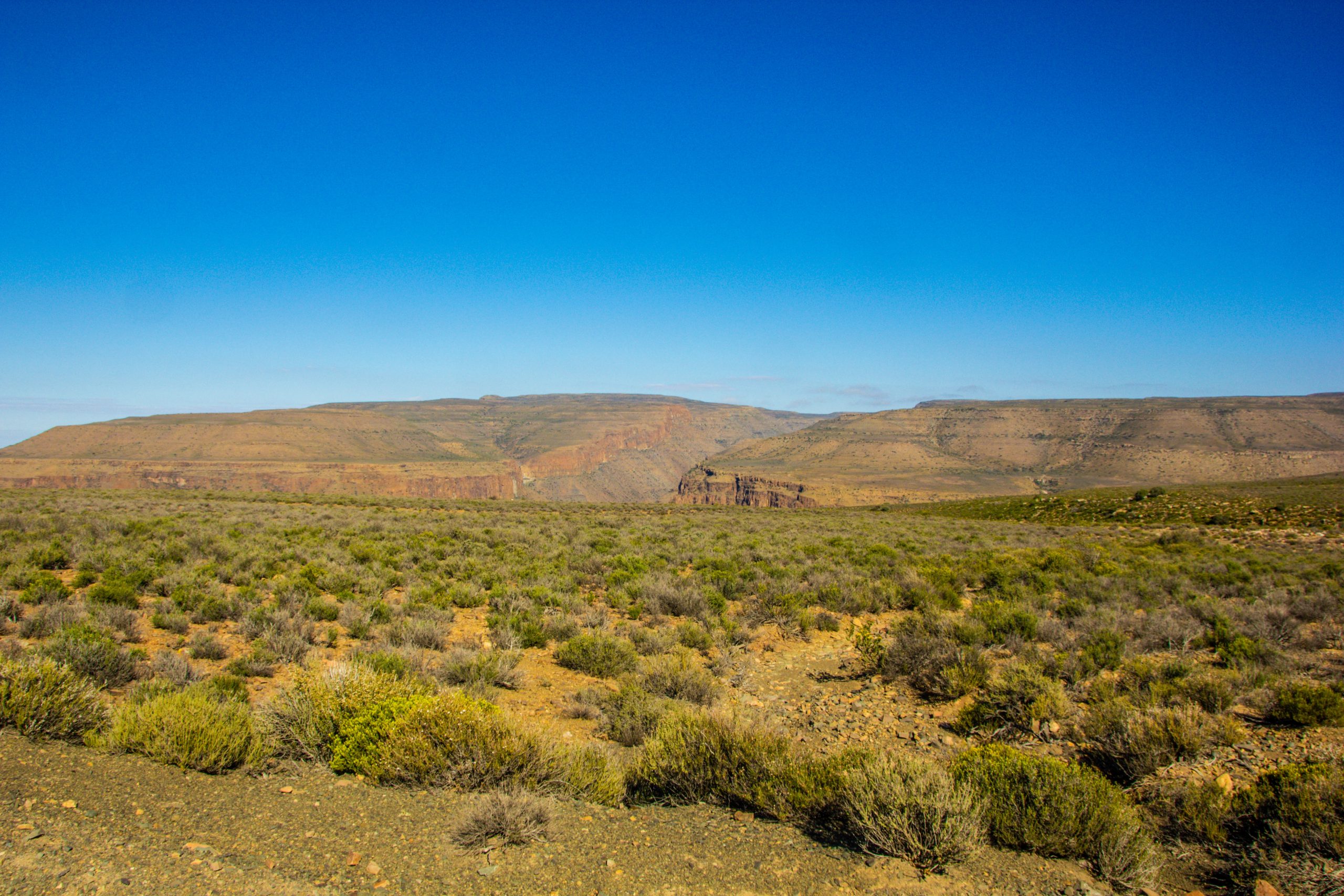 green grass field near brown mountain under blue sky during daytime